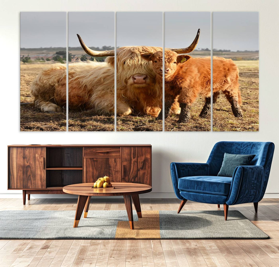 Highland Cow Canvas: a light brown cow and calf in the field, ideal farmhouse decor.