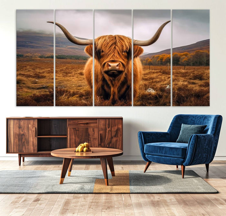 Highland Cow Longhorn Canvas Print, framed, on a wooden wall.