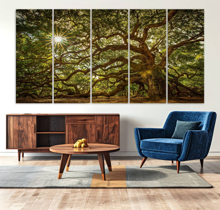 The Ancient Angel Oak Tree Art Sunburst Canvas Print, a framed triptych, serves as wall art.