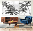 Edit-Images-Black and White Palm Tree Wall Art – Monochrome Tropical Canvas Print for Coastal or Minimalist Living Room Decor