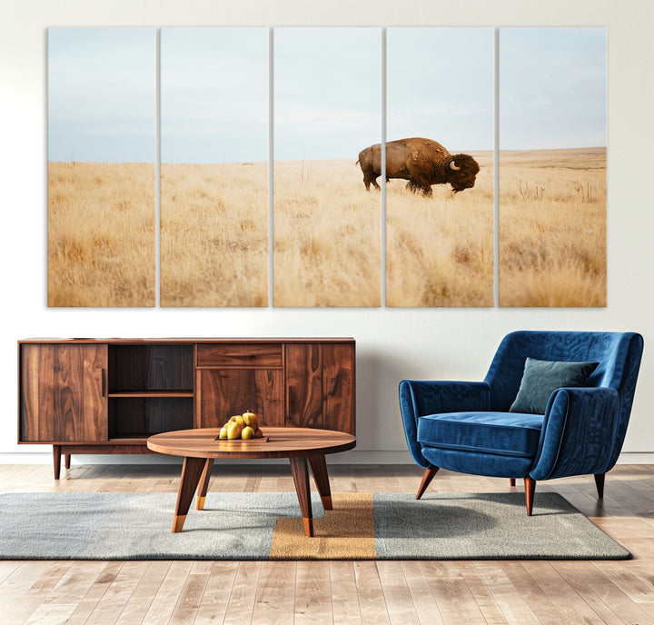 A lone bison standing in a vast golden grassland under a soft blue sky, evoking a rustic and Western aesthetic, ideal for farmhouse decor.
