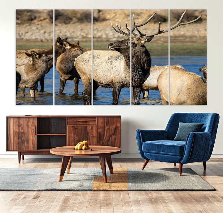 Group of elk standing in shallow water with dry rocky terrain in the background, showcasing wildlife in a natural setting for rustic decor.