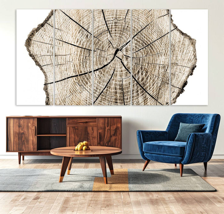 The Abstract Wood Tree Ring Wall Art set of 3 adds a minimalist touch to the space.