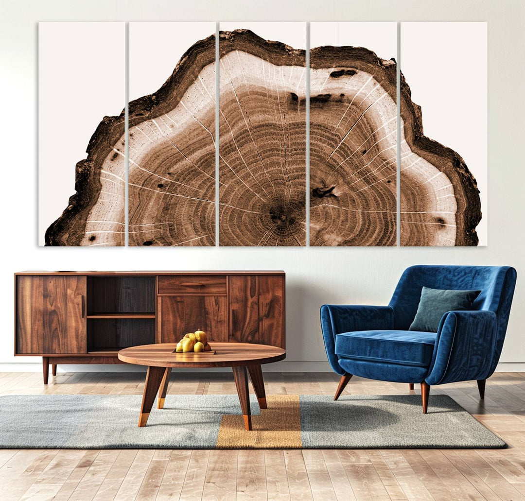 Rustic Wood Rings Wall Art | Nature-Inspired Tree Ring Canvas Print | Ready to Hang and Framed for Farmhouse Wall Decor