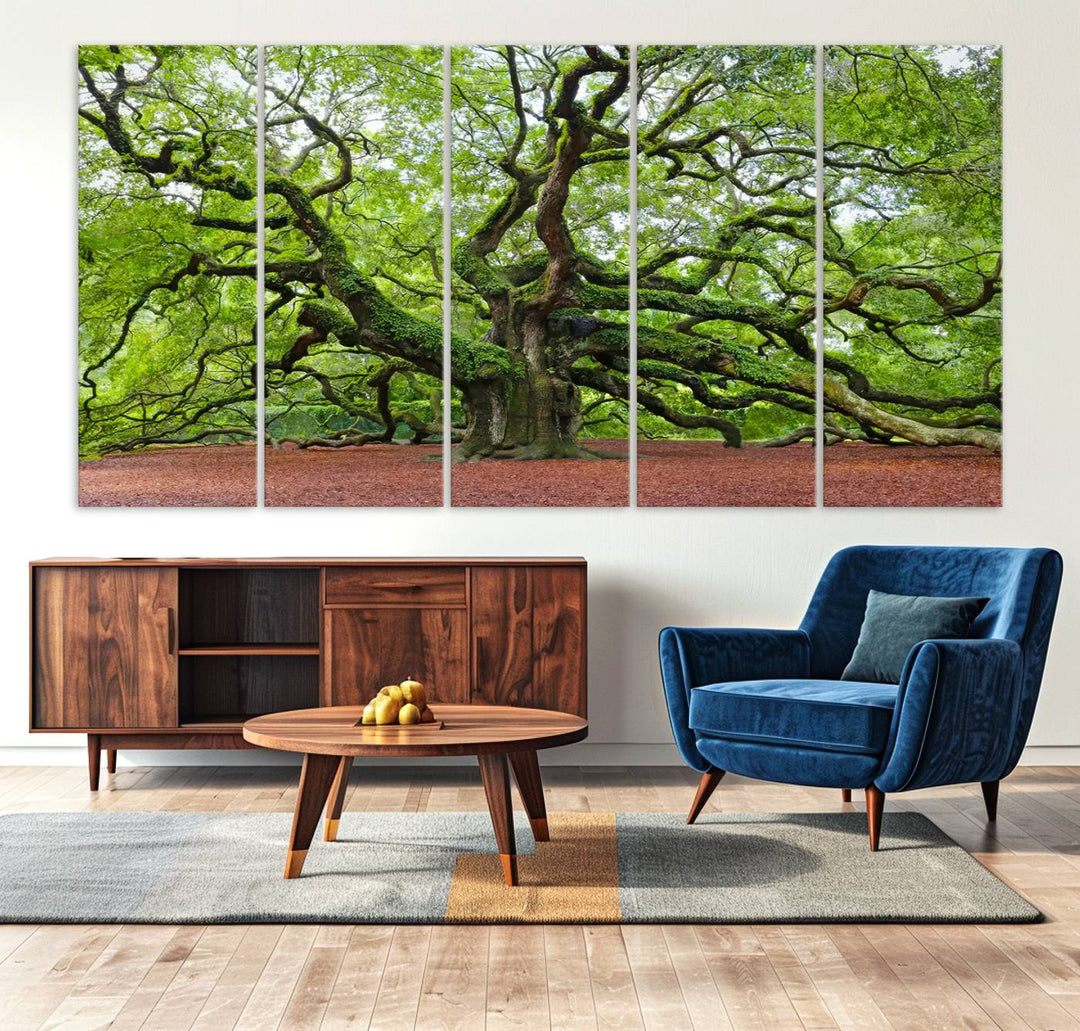 Framed Angel Oak Tree Wall Art - 3-Panel Canvas Prints, Large Green Nature Artwork, Ready to Hang Home Decor for Living Room, Office, Bedroom