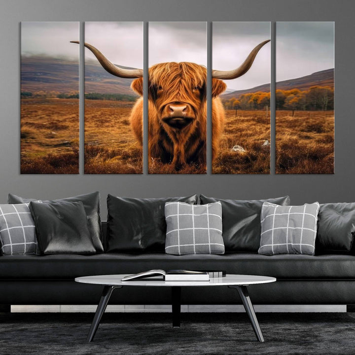 Highland Cow Longhorn Canvas Print, framed, on a wooden wall.