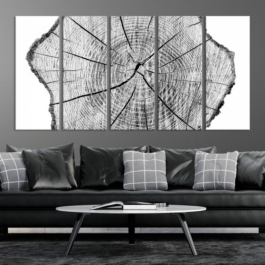 Black and white tree ring art print.