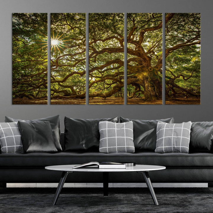 The Ancient Angel Oak Tree Art Sunburst Canvas Print, a framed triptych, serves as wall art.