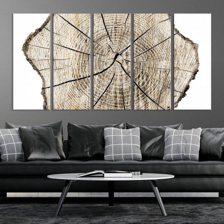 The Abstract Wood Tree Ring Wall Art set of 3 adds a minimalist touch to the space.