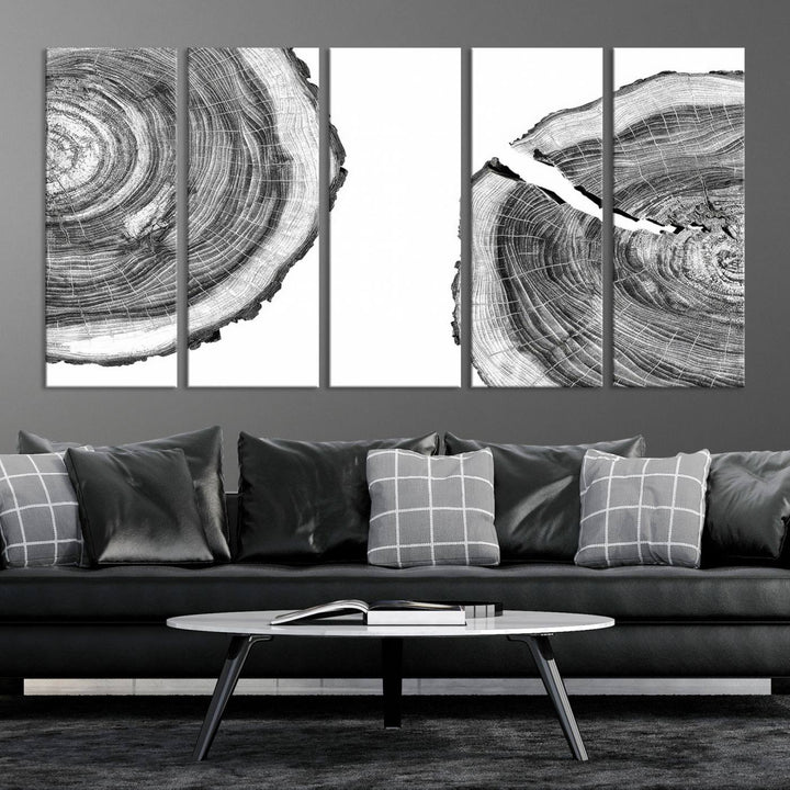 The minimalist art piece Abstract Large Tree Rings on canvas creates a striking focal point.