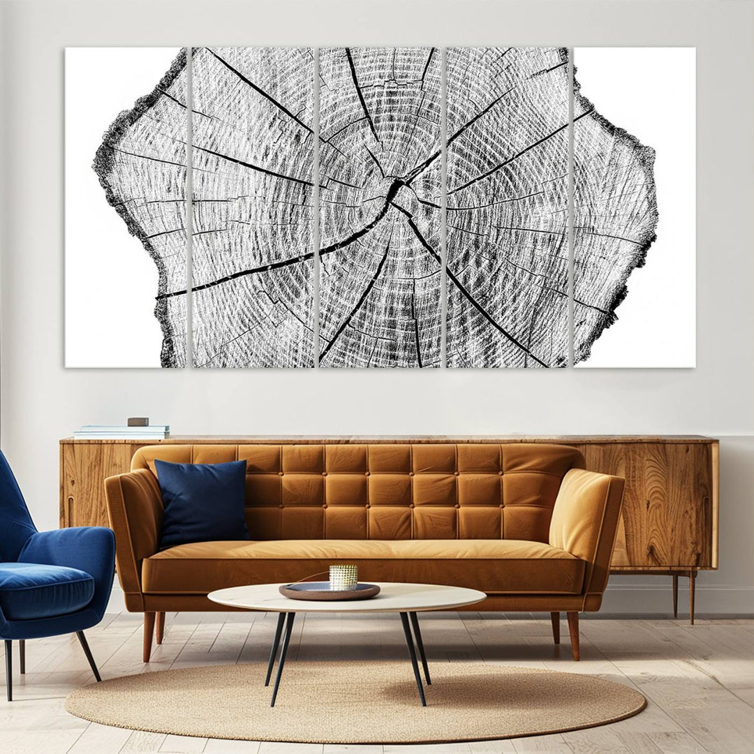 Black and white tree ring art print.