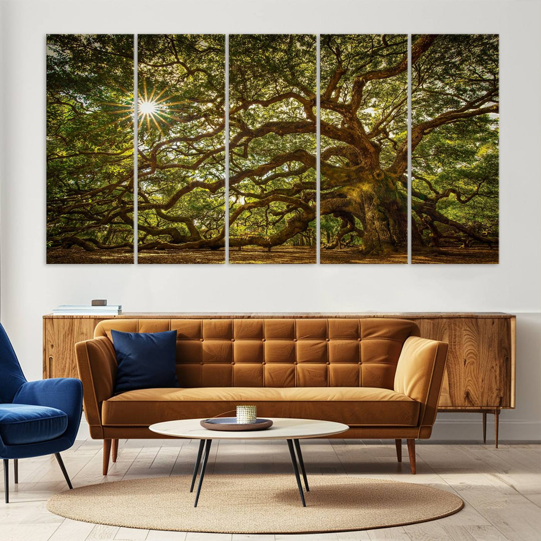 The Ancient Angel Oak Tree Art Sunburst Canvas Print, a framed triptych, serves as wall art.