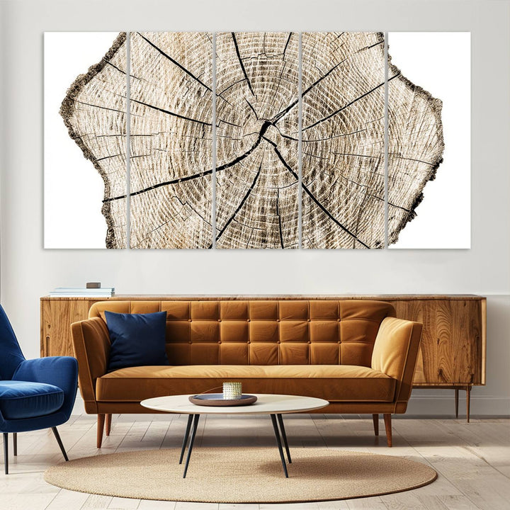 The Abstract Wood Tree Ring Wall Art set of 3 adds a minimalist touch to the space.