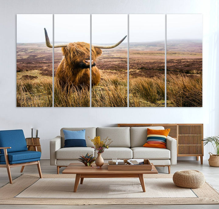 A ready-to-hang Scottish Highland Cow Cattle Canvas Wall Art.