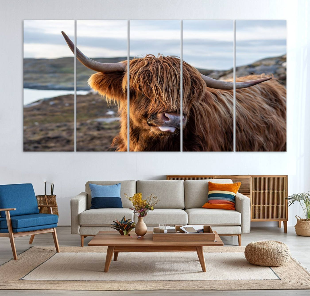 The Cuddly Highland Cow Canvas hangs, adding charm with its shaggy elegance.