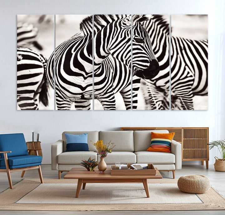 The Brilliant Zebra Photography Art Canvas Print hangs prominently on the wall.