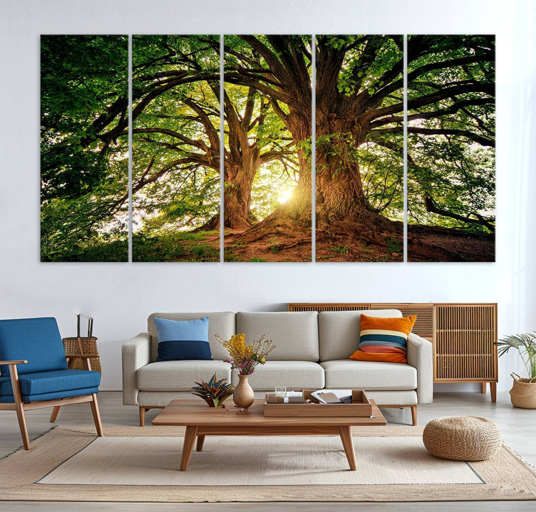 Majestic Ancient Tree Wall Art is illuminated by sunlit forest rays.