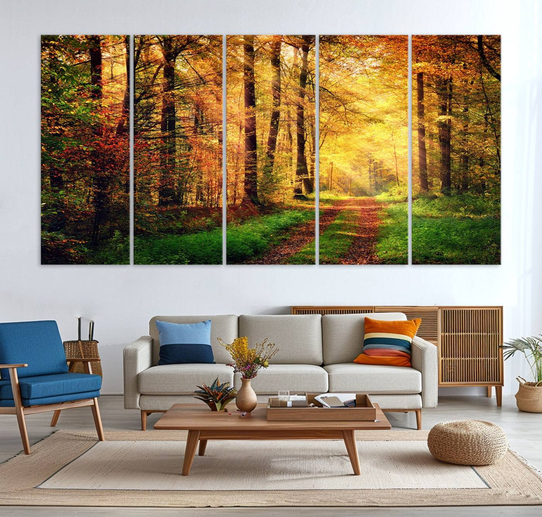 The Sunlight Through Trees Wall Art Canvas Print showcases a sunlit autumn forest and includes UV protection to ensure lasting vibrance.