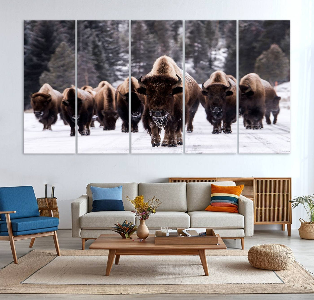 Bison Herd Canvas Wall Art.