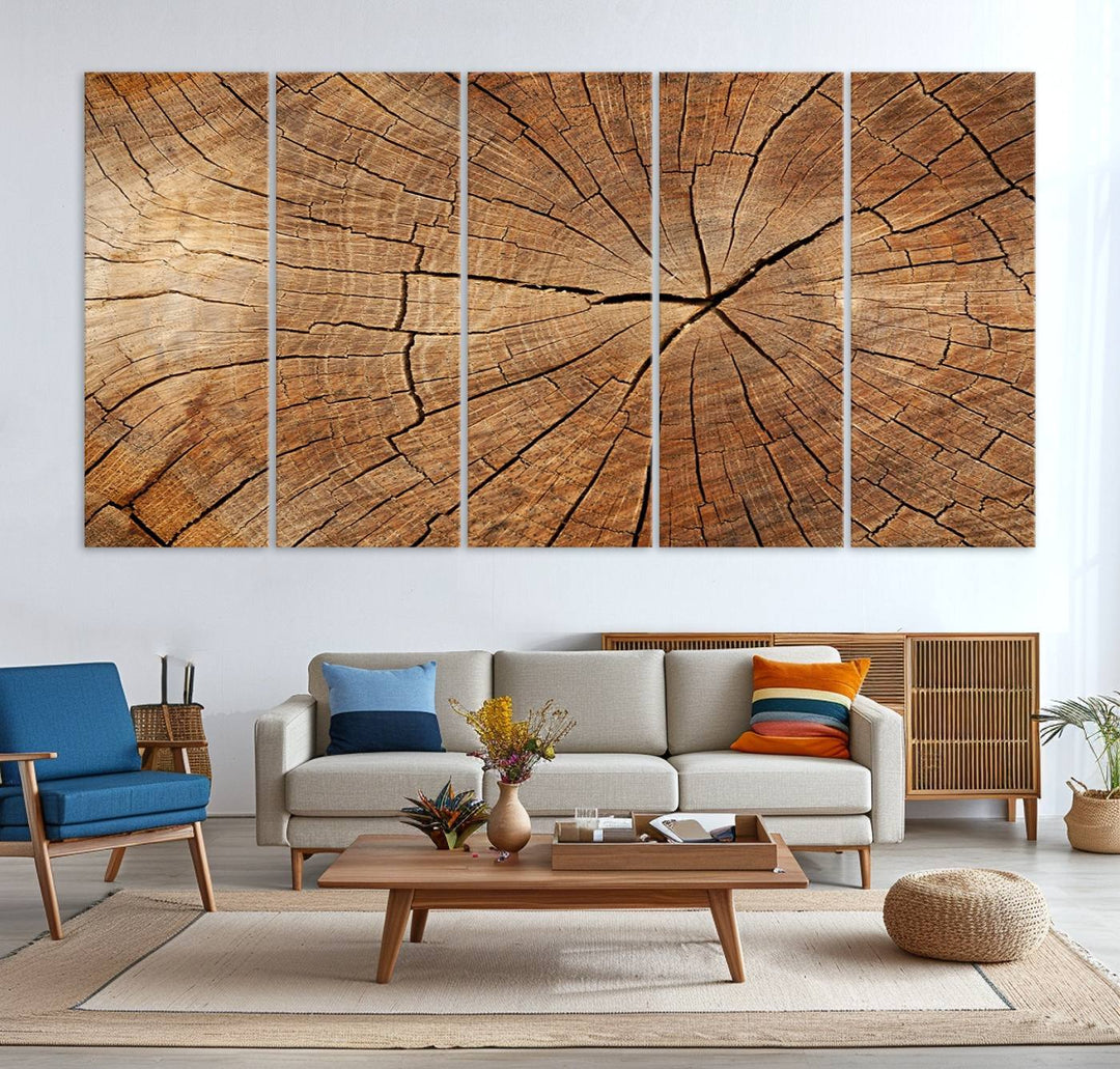 Tree Ring Canvas Art decorates a textured wall.