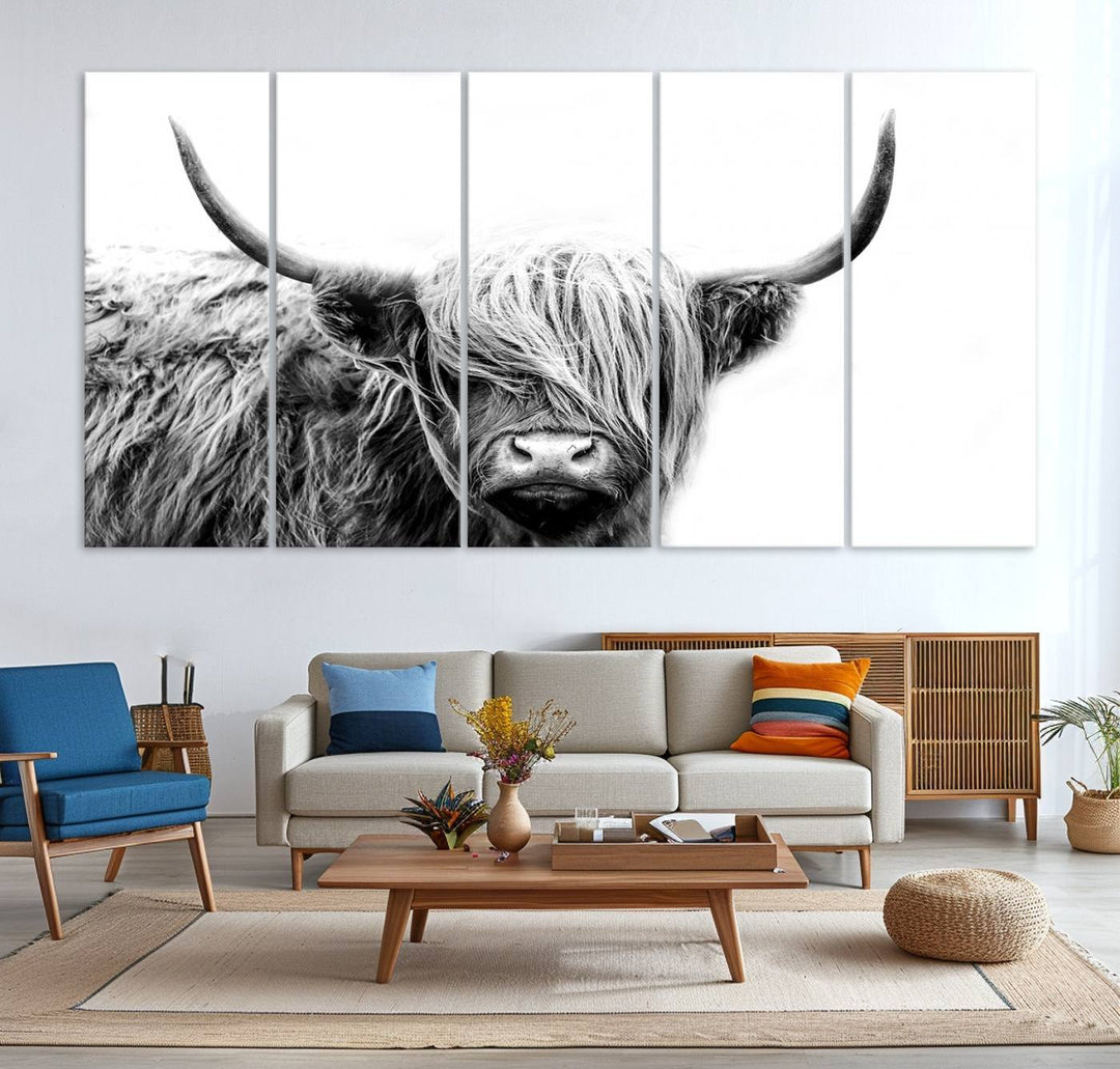 Framed Black and White Scottish Highland Cow Art Print.