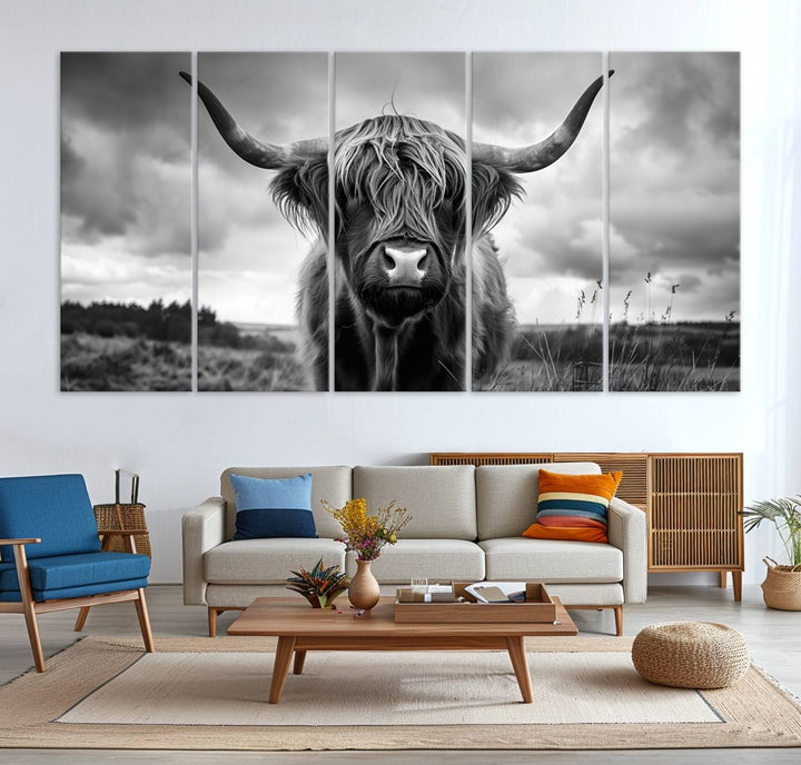 A large Scottish Cow Wall Art Canvas Print hangs on the wall.