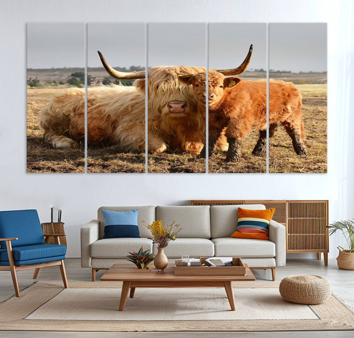 Highland Cow Canvas: a light brown cow and calf in the field, ideal farmhouse decor.