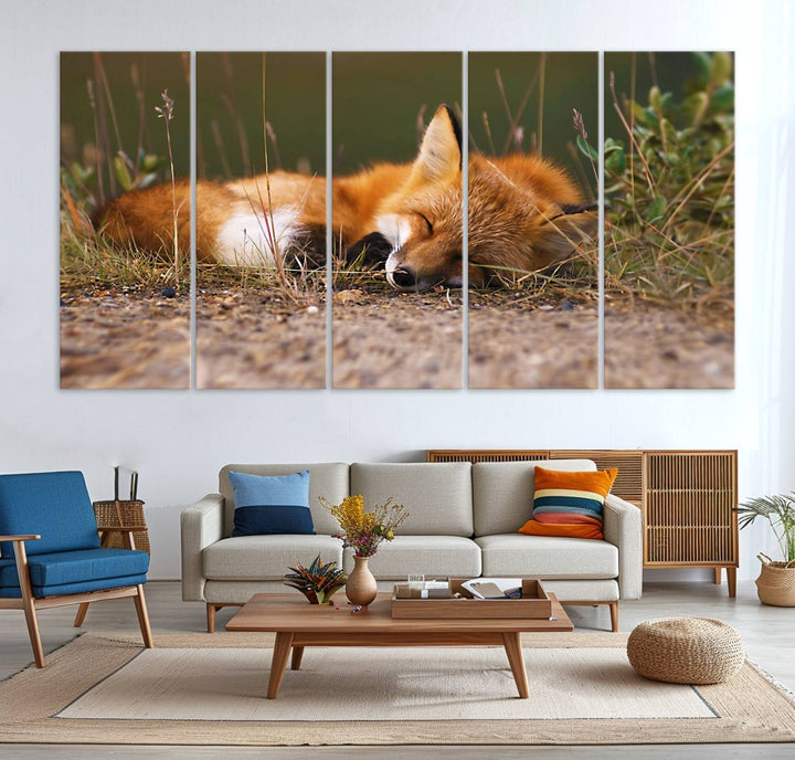 The Sleeping Fox Wall Art Canvas Print is ideal for farmhouse decor.