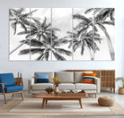 Edit-Images-Black and White Palm Tree Wall Art – Monochrome Tropical Canvas Print for Coastal or Minimalist Living Room Decor