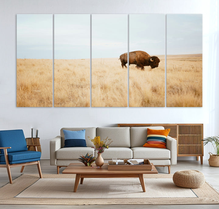 A lone bison standing in a vast golden grassland under a soft blue sky, evoking a rustic and Western aesthetic, ideal for farmhouse decor.