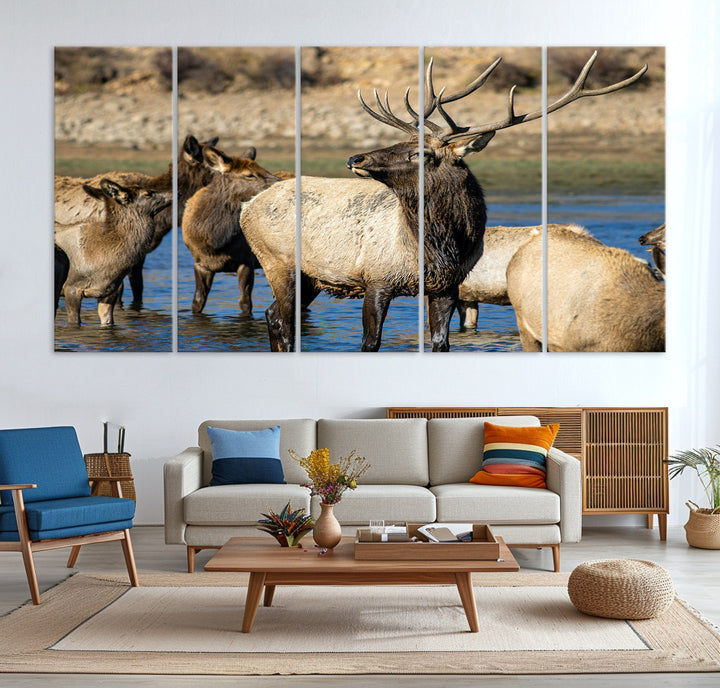 Group of elk standing in shallow water with dry rocky terrain in the background, showcasing wildlife in a natural setting for rustic decor.