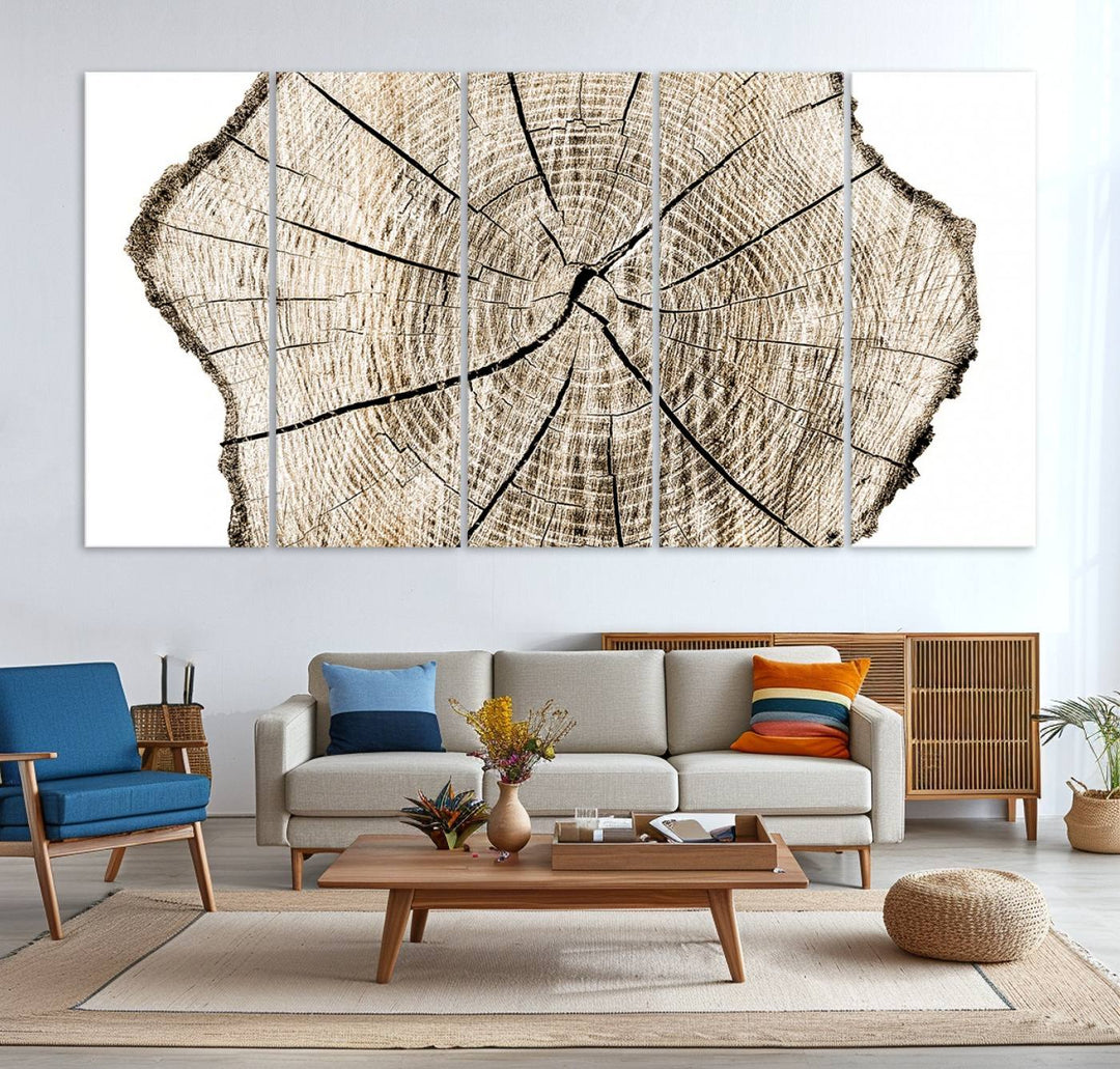 The Abstract Wood Tree Ring Wall Art set of 3 adds a minimalist touch to the space.