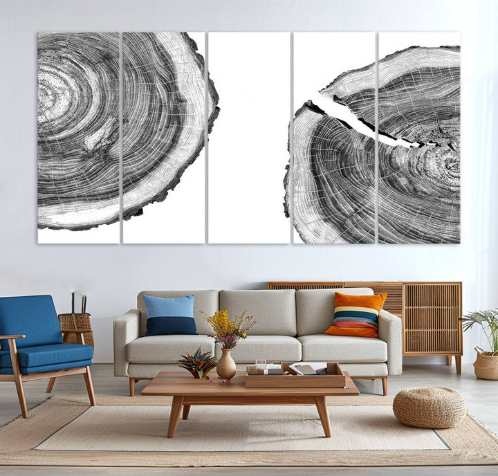 The minimalist art piece Abstract Large Tree Rings on canvas creates a striking focal point.