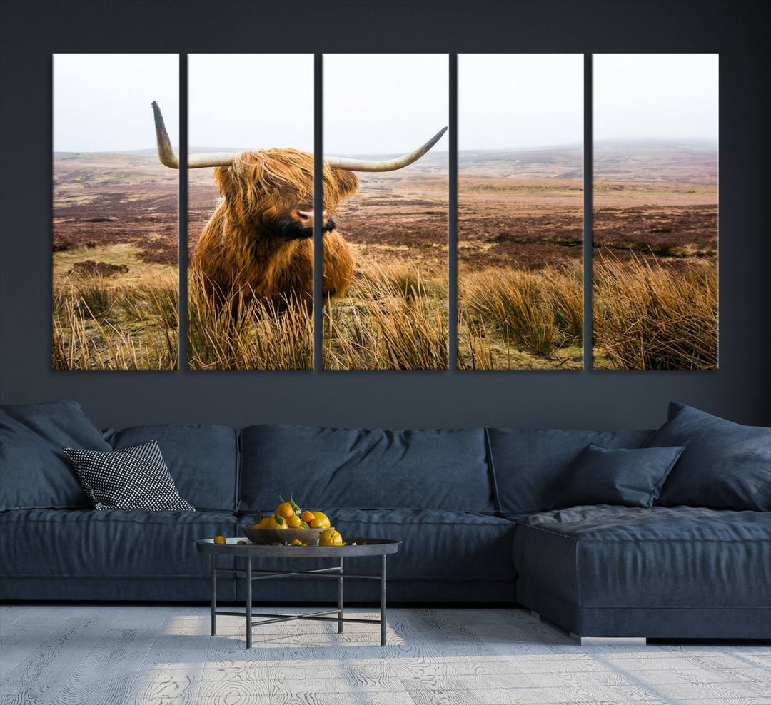 A ready-to-hang Scottish Highland Cow Cattle Canvas Wall Art.