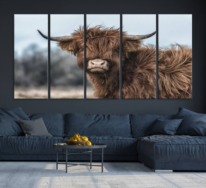 Fluffy Highland Cow Wall Art Canvas Print.