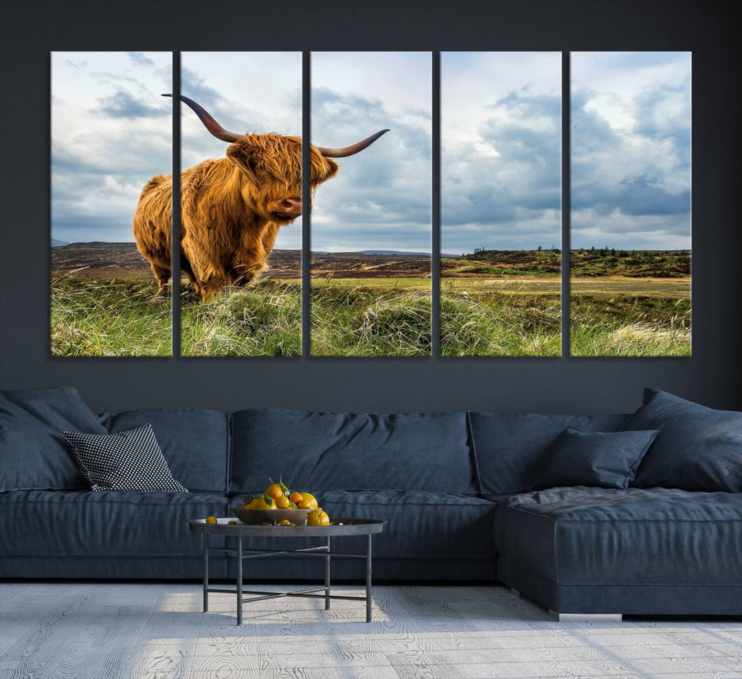 Highland Cattle Canvas Print: A minimalistic touch for any setting.