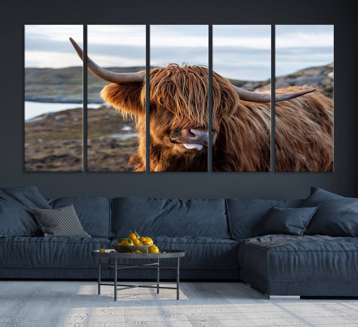 The Cuddly Highland Cow Canvas hangs, adding charm with its shaggy elegance.