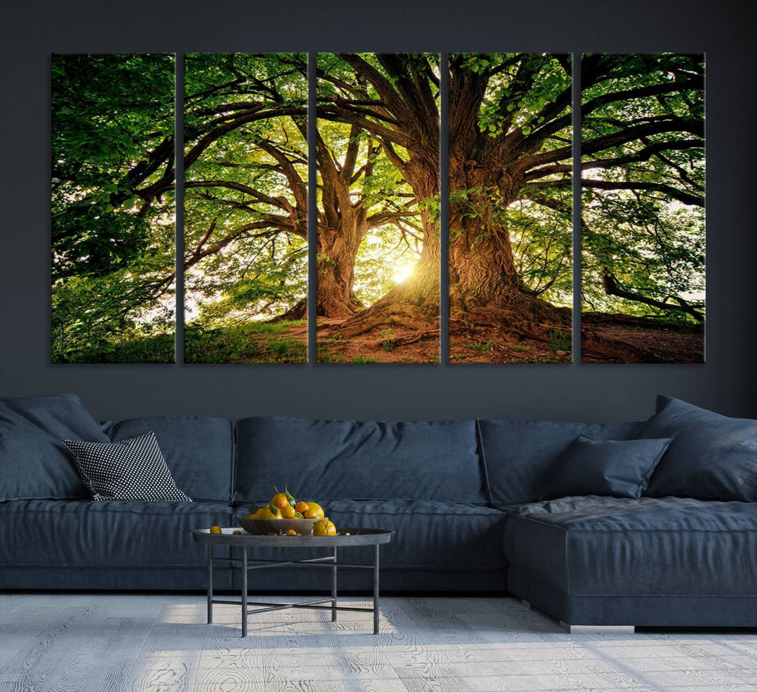 Majestic Ancient Tree Wall Art is illuminated by sunlit forest rays.