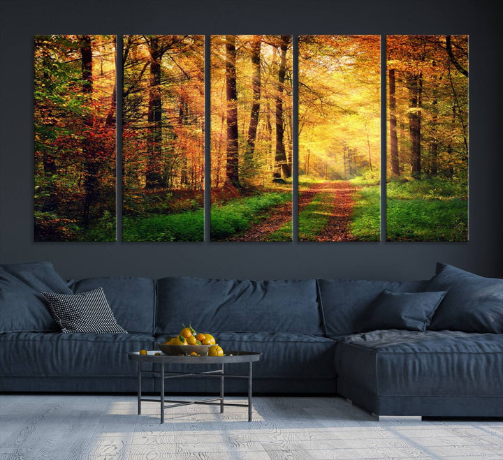 The Sunlight Through Trees Wall Art Canvas Print showcases a sunlit autumn forest and includes UV protection to ensure lasting vibrance.