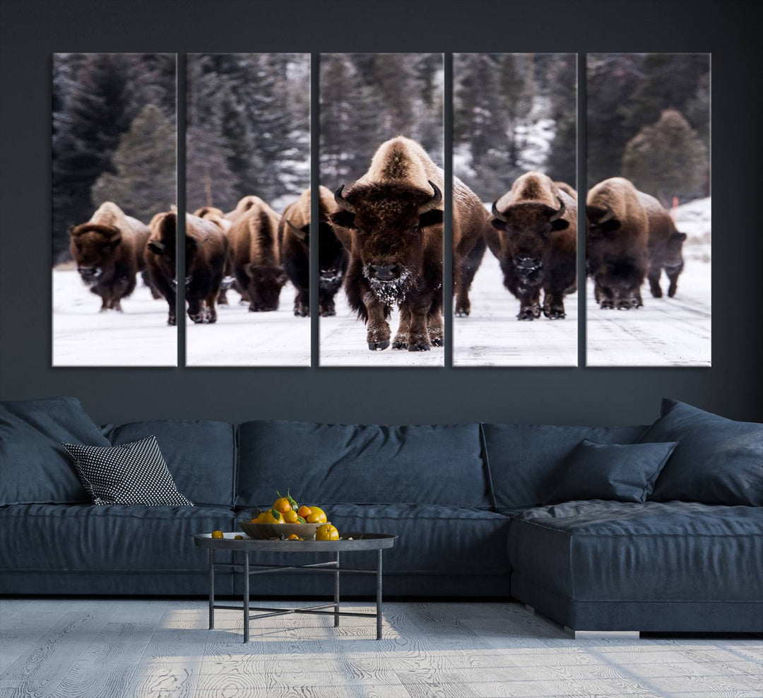 Bison Herd Canvas Wall Art.