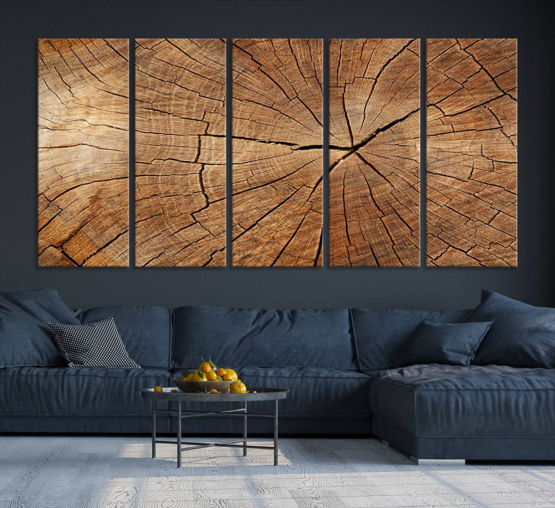 Tree Ring Canvas Art decorates a textured wall.