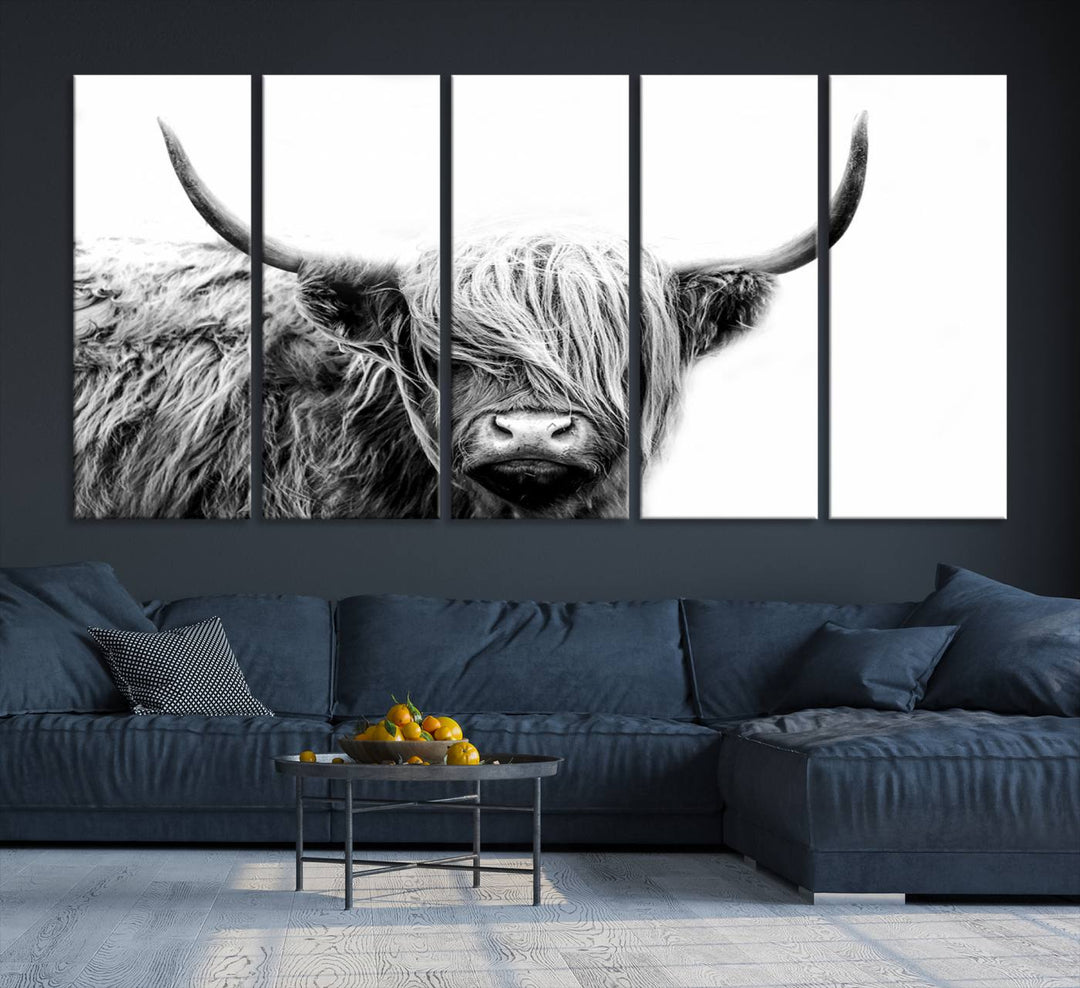 Framed Black and White Scottish Highland Cow Art Print.