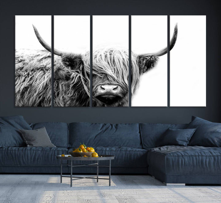 Framed Black and White Scottish Highland Cow Art Print.