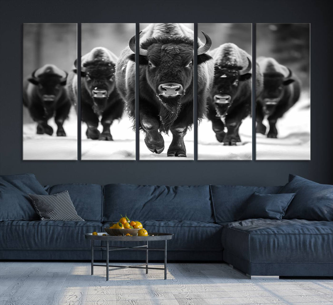 A black and white American Bison herd canvas print adorns the wall.