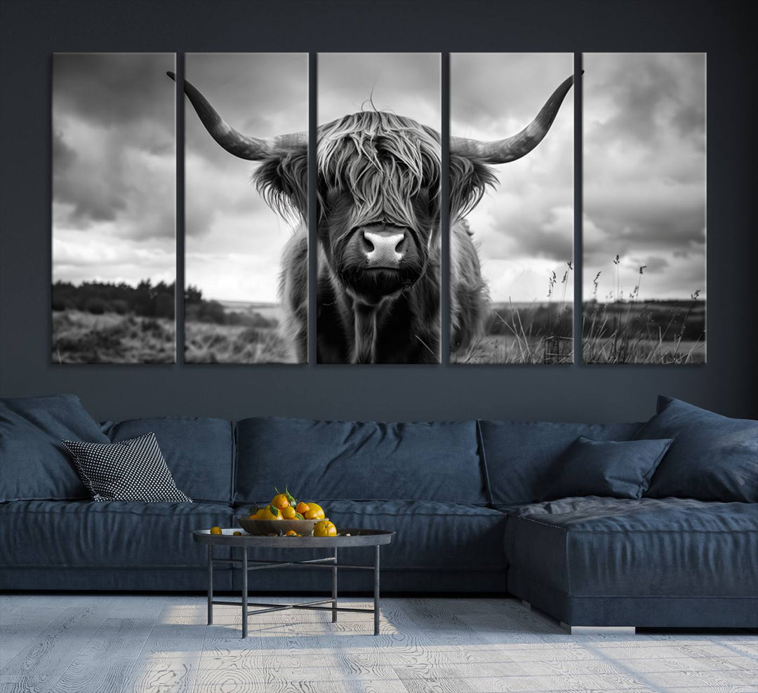 A large Scottish Cow Wall Art Canvas Print hangs on the wall.