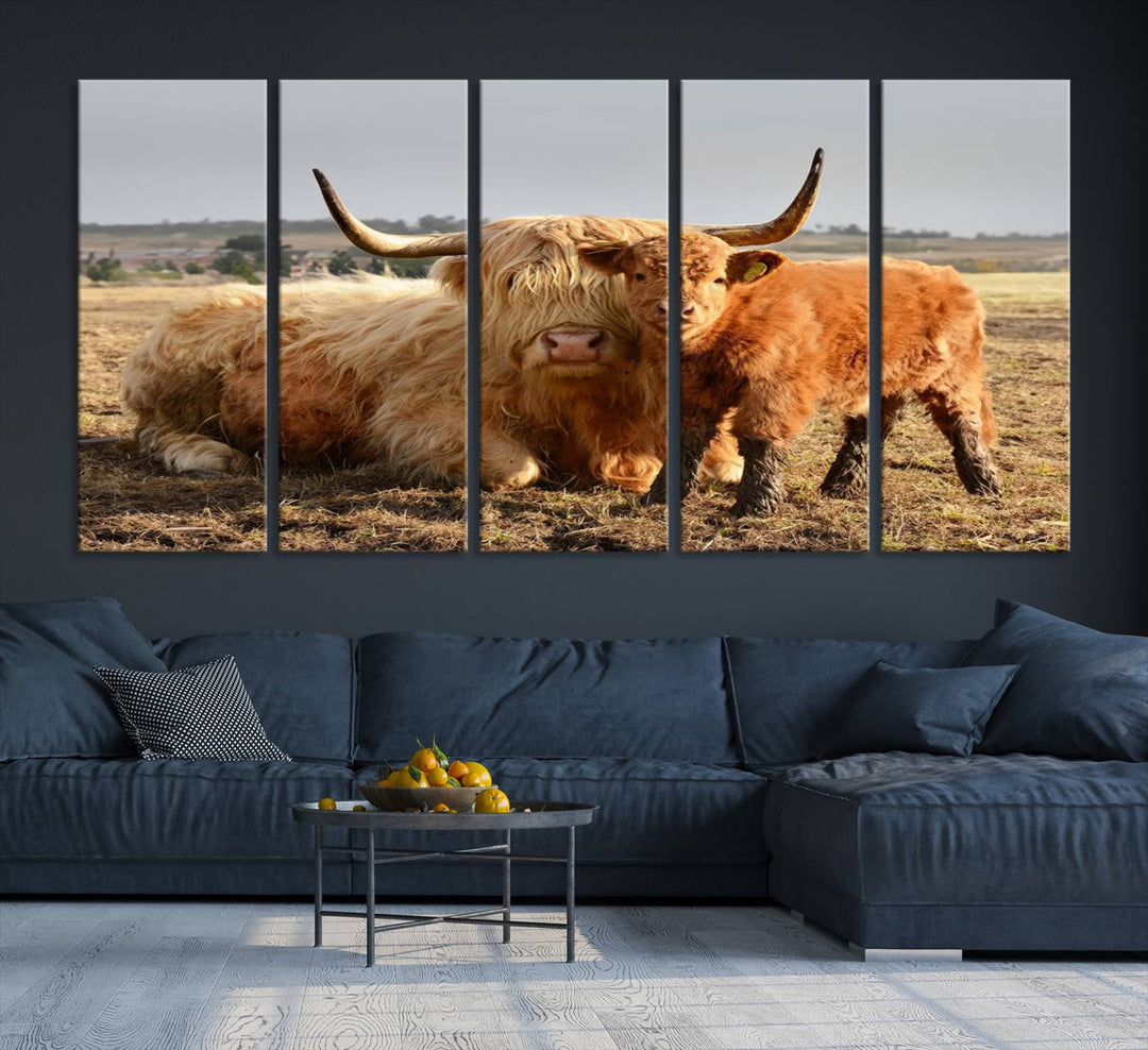 Highland Cow Canvas: a light brown cow and calf in the field, ideal farmhouse decor.