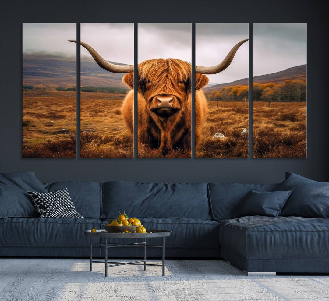 Highland Cow Longhorn Canvas Print, framed, on a wooden wall.