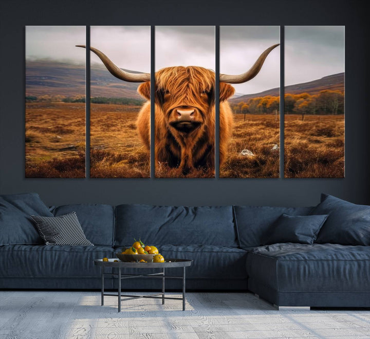 Highland Cow Longhorn Canvas Print, framed, on a wooden wall.