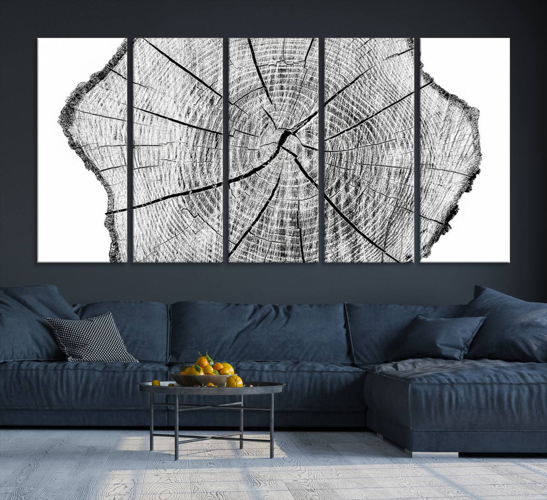 Black and white tree ring art print.