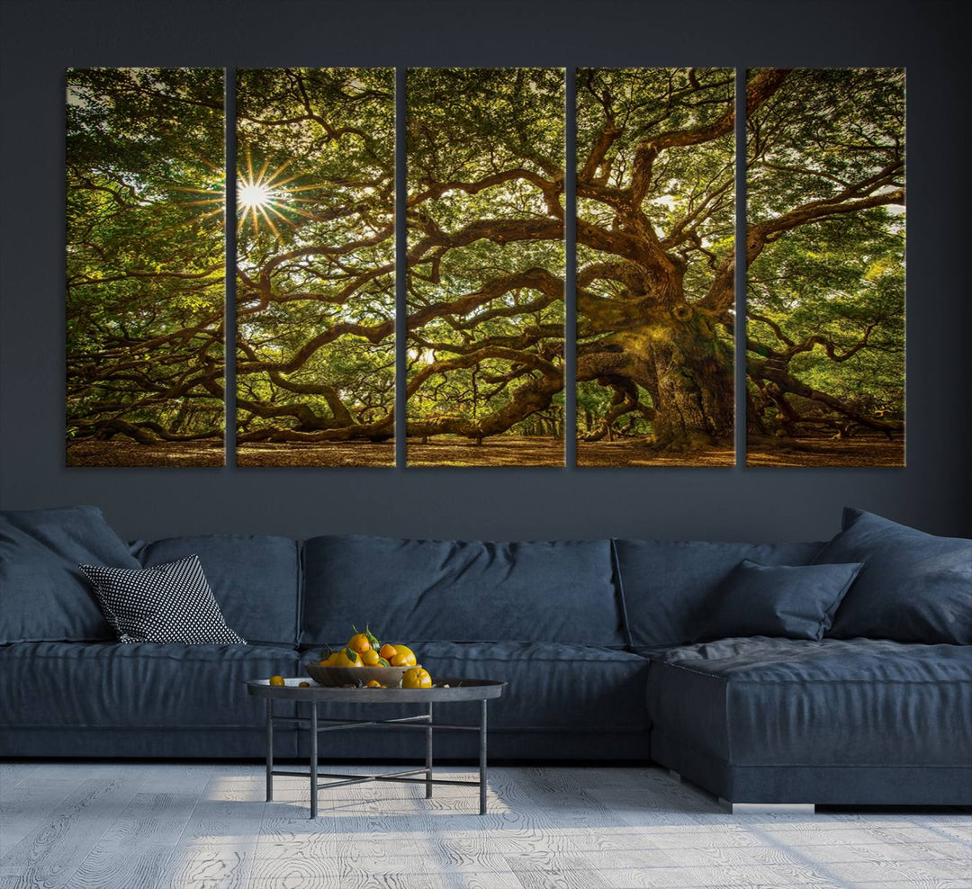 The Ancient Angel Oak Tree Art Sunburst Canvas Print, a framed triptych, serves as wall art.